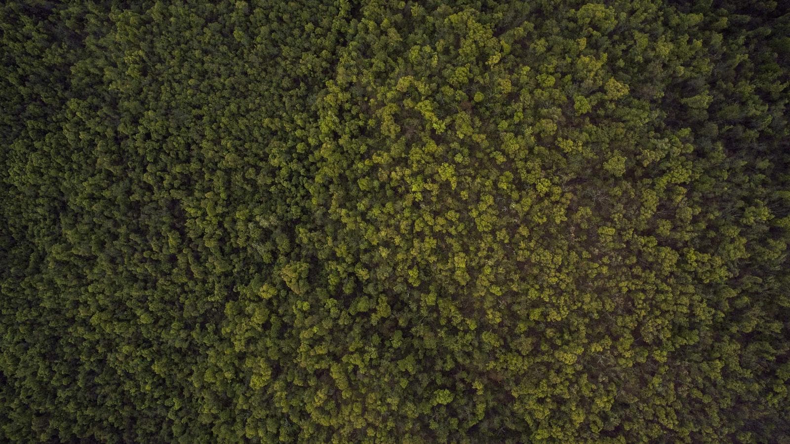 Paisagem da região Açores